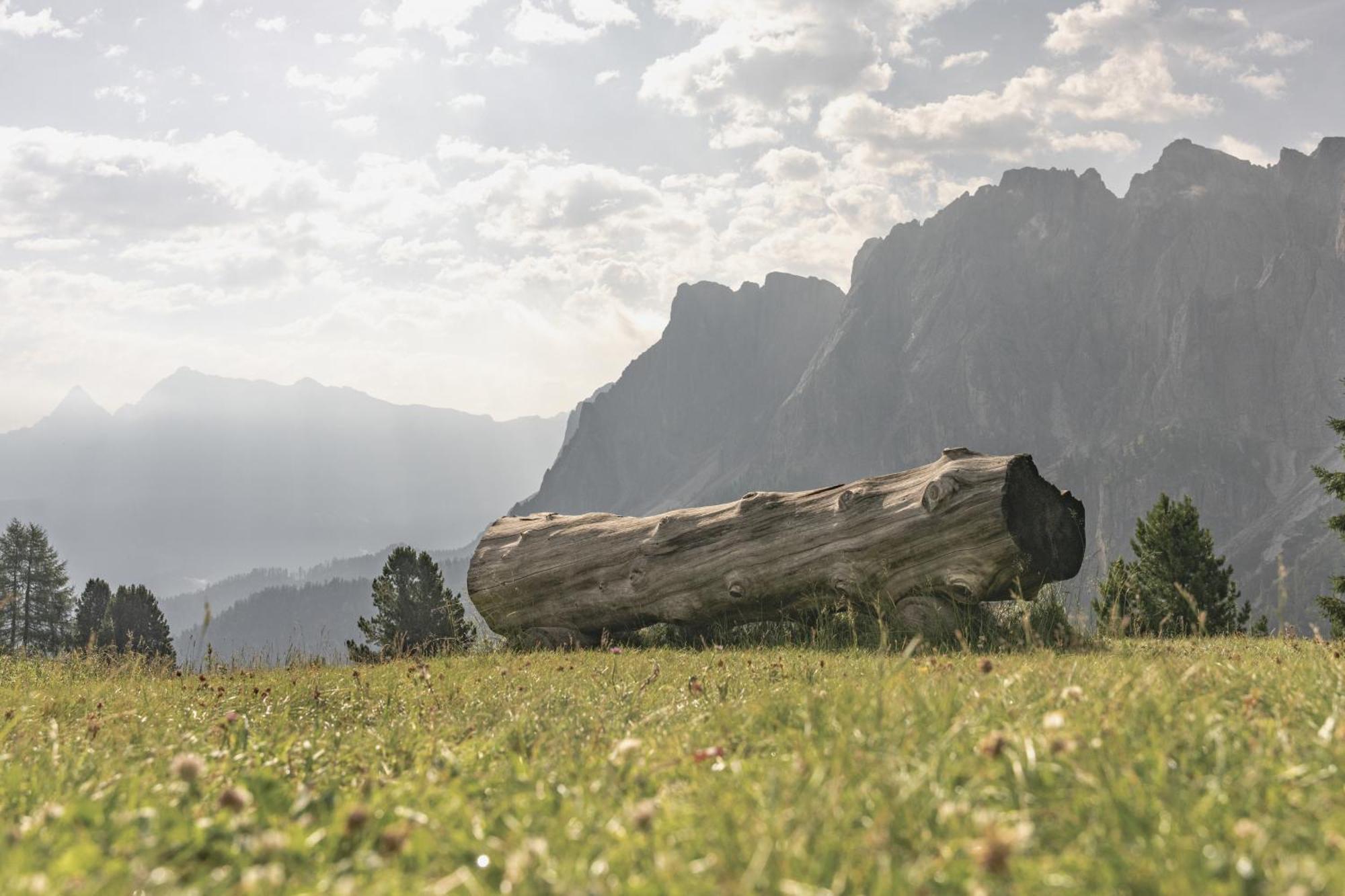 Ciasa Iachin - Dolomites Dream Retreat Daire San Martino in Badia Dış mekan fotoğraf