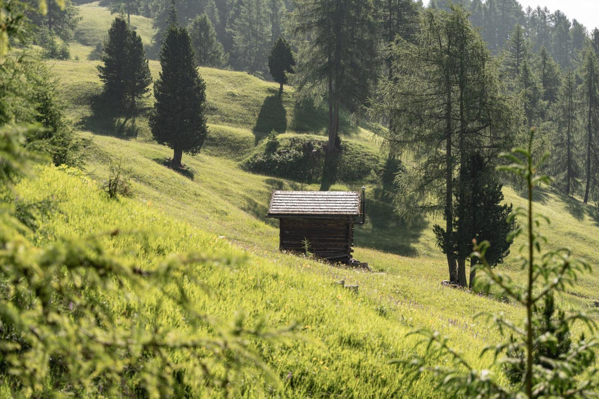 Ciasa Iachin - Dolomites Dream Retreat Daire San Martino in Badia Dış mekan fotoğraf