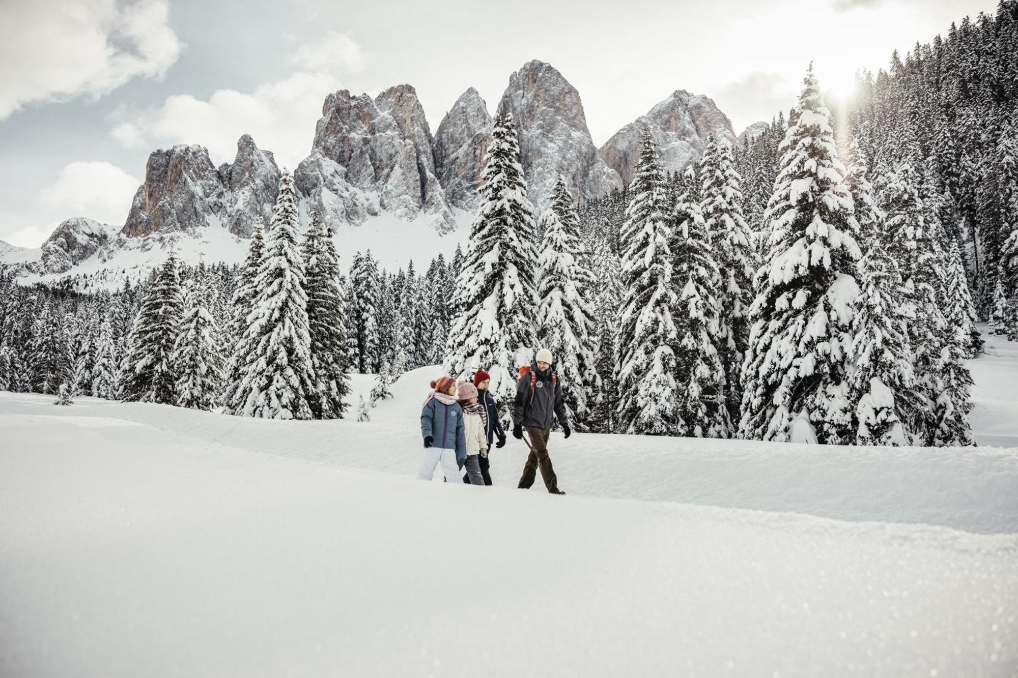Ciasa Iachin - Dolomites Dream Retreat Daire San Martino in Badia Dış mekan fotoğraf