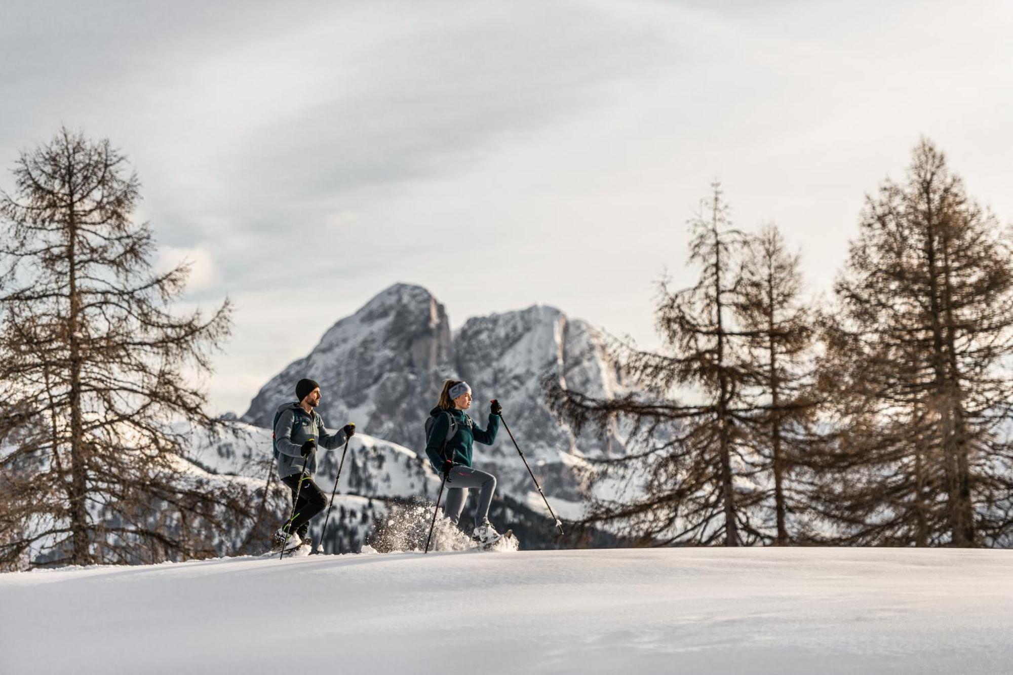 Ciasa Iachin - Dolomites Dream Retreat Daire San Martino in Badia Dış mekan fotoğraf