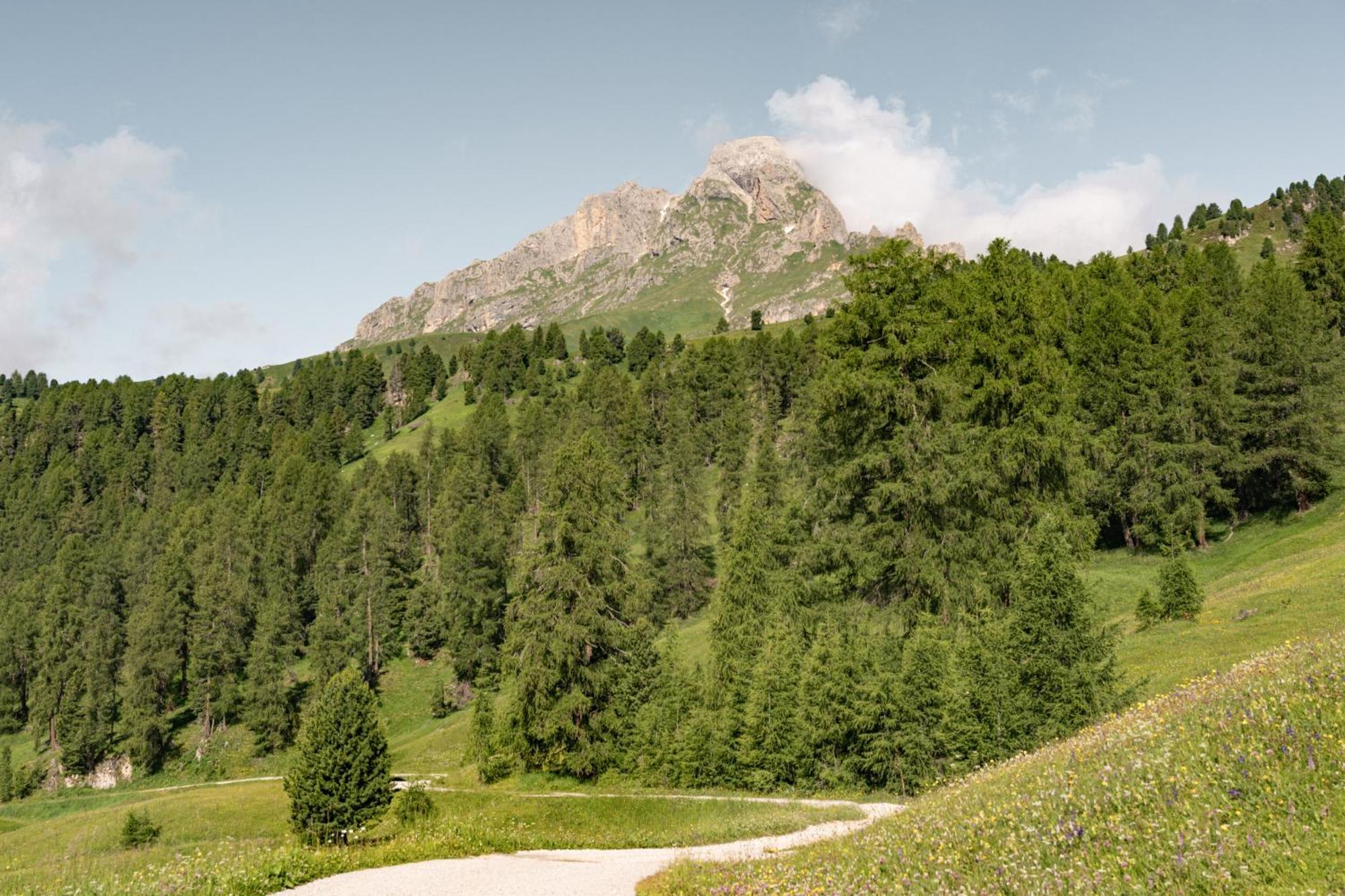 Ciasa Iachin - Dolomites Dream Retreat Daire San Martino in Badia Dış mekan fotoğraf