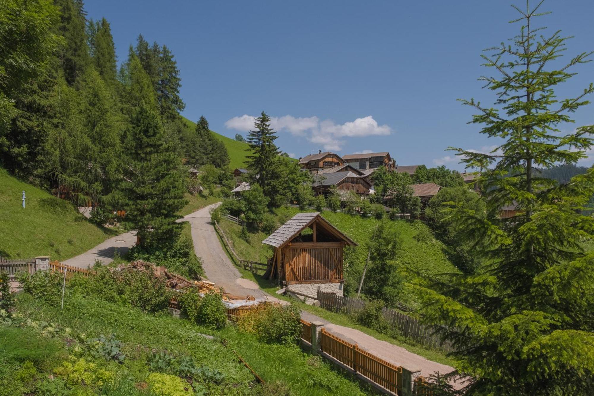 Ciasa Iachin - Dolomites Dream Retreat Daire San Martino in Badia Dış mekan fotoğraf