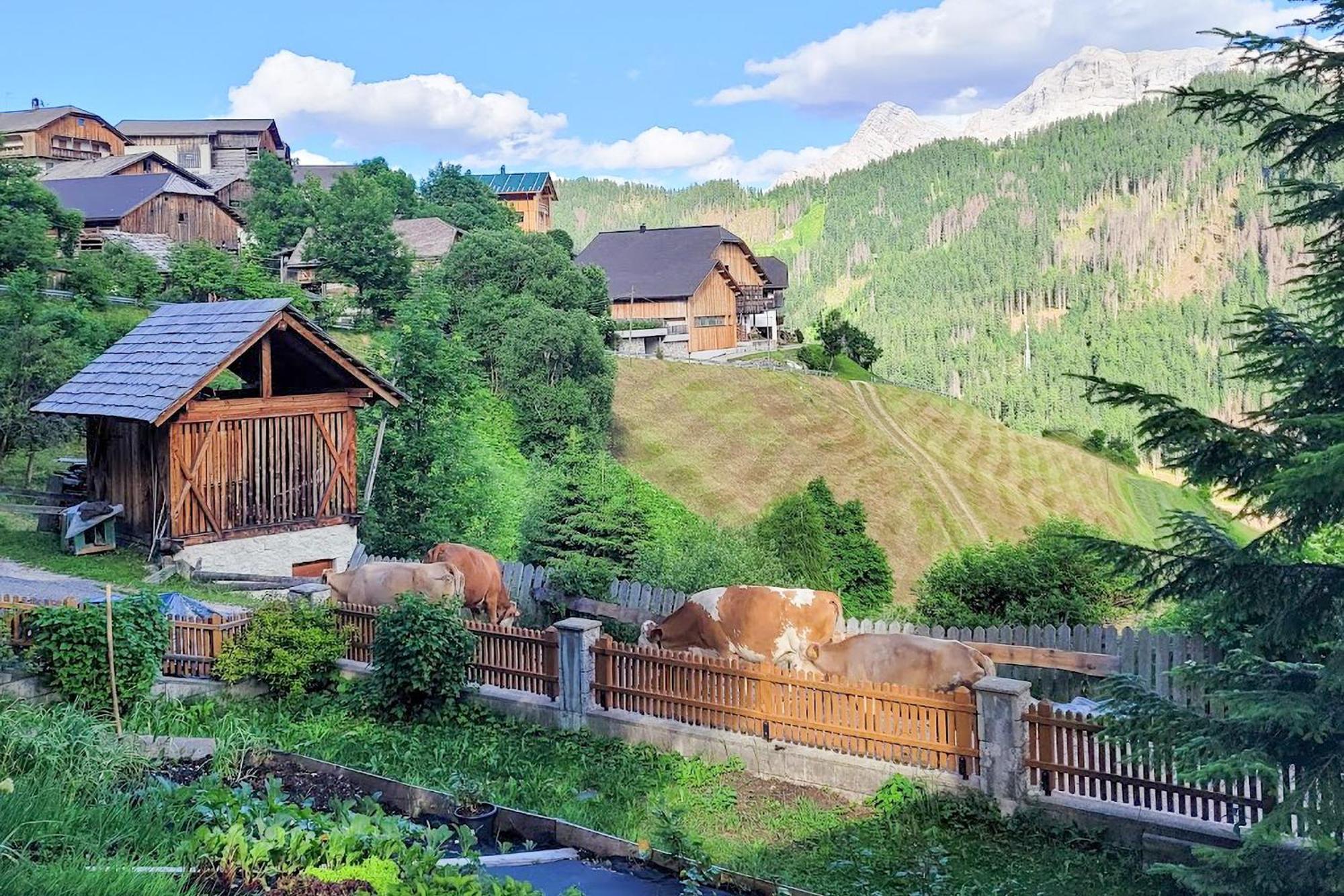 Ciasa Iachin - Dolomites Dream Retreat Daire San Martino in Badia Dış mekan fotoğraf