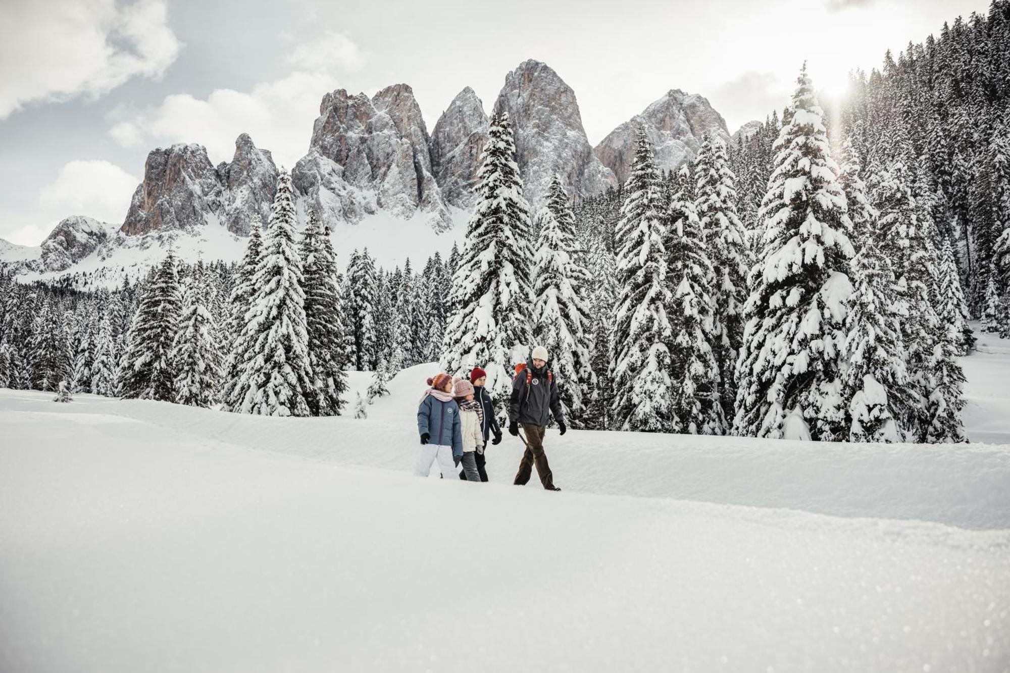 Ciasa Iachin - Dolomites Dream Retreat Daire San Martino in Badia Dış mekan fotoğraf